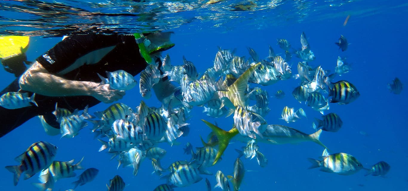 Snorkeling